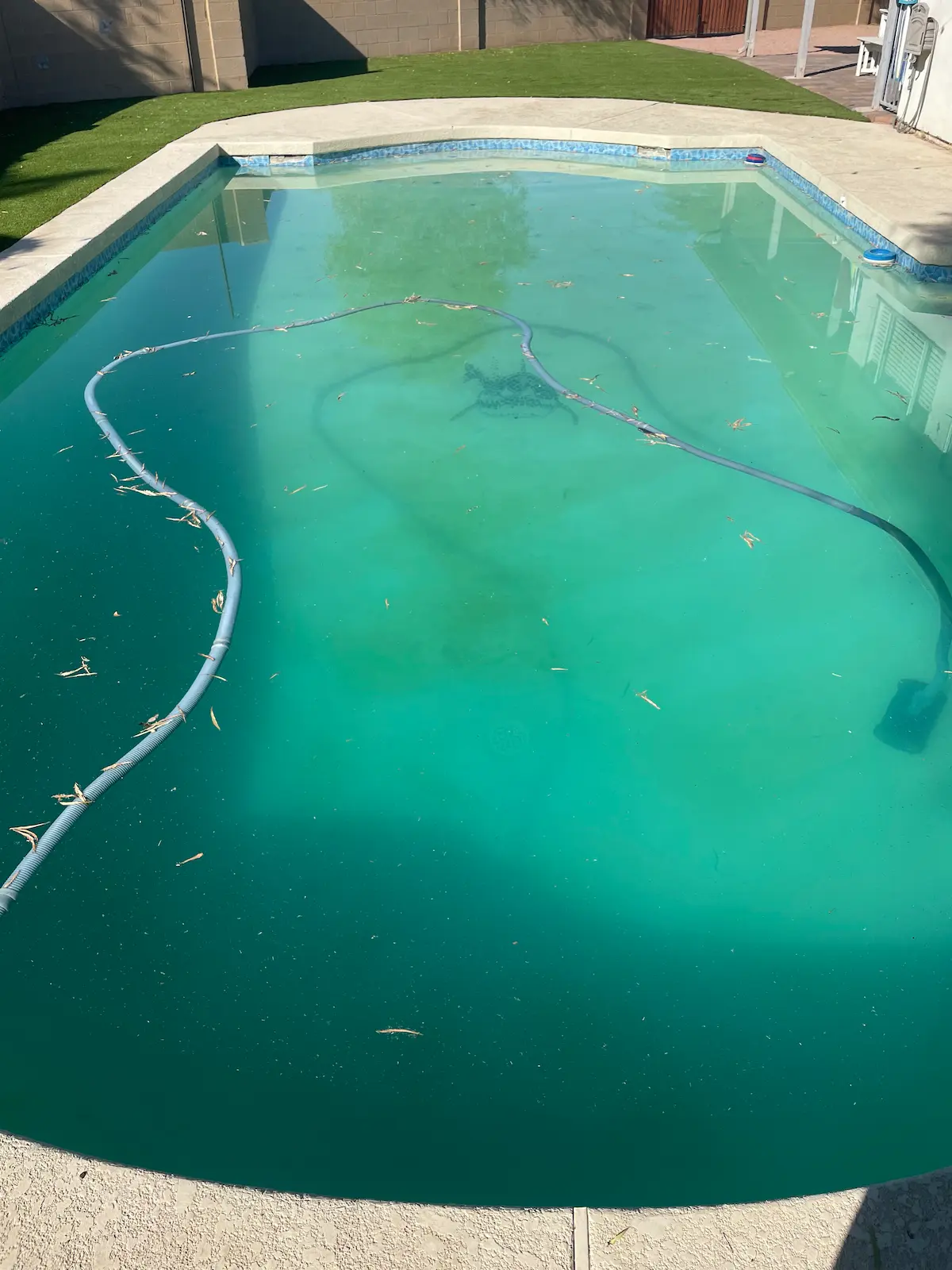Green algae pool before Beecroft service